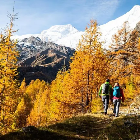 3-schlafzimmer Eichhorn****, Fee 1800m Σαλέ Saas Fee