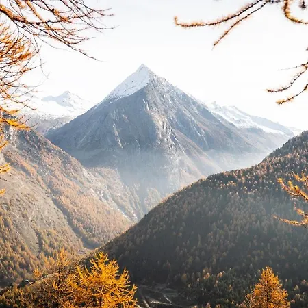 3-schlafzimmer Eichhorn****, Fee 1800m * Saas Fee