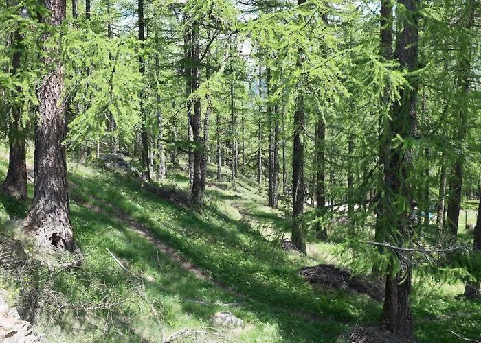 3-schlafzimmer Eichhorn****, Fee 1800m * 萨斯费