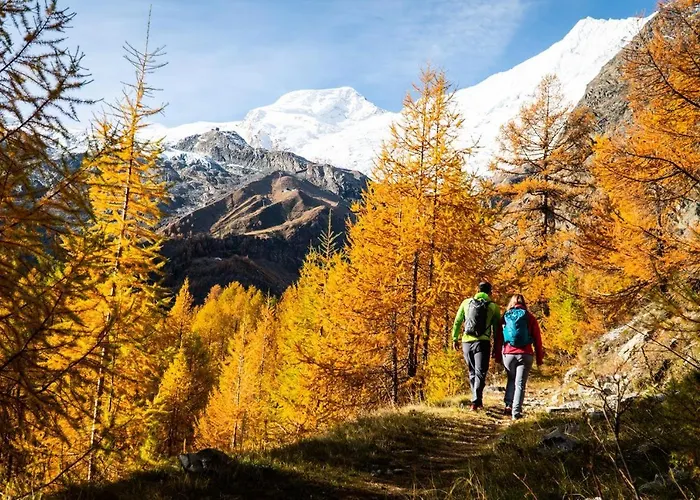 3-schlafzimmer Eichhorn****, Fee 1800m 木屋 萨斯费