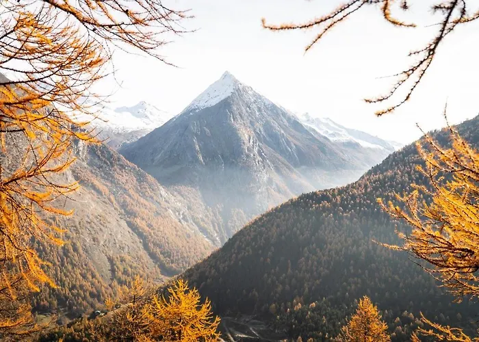 3-schlafzimmer Eichhorn****, Fee 1800m * 萨斯费