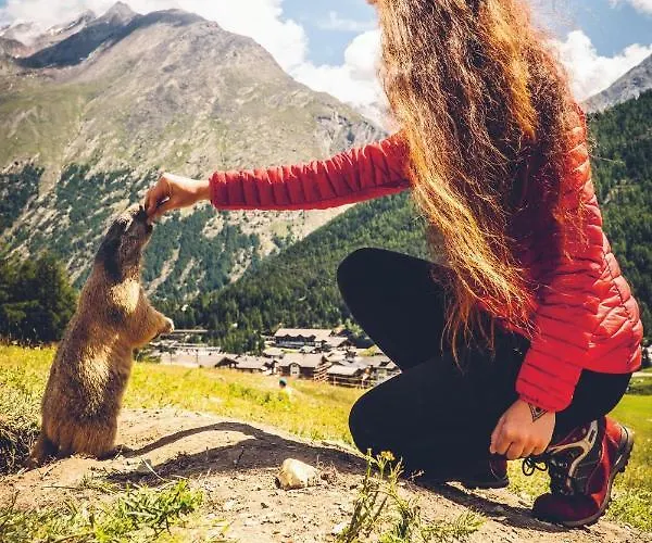 木屋 3-schlafzimmer Eichhorn****, Fee 1800m